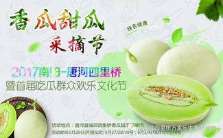 镇平网红吃瓜,揭秘网络红人的幕后生活