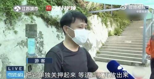 只吃瓜不看戏的网红,揭秘只吃瓜不看戏的网红传奇
