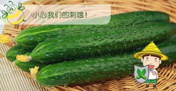 种瓜吃瓜网,揭秘瓜农生活，品味田园风光