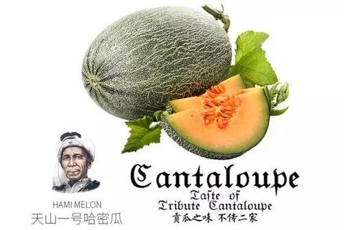 1吃瓜网入口,带你走进娱乐圈的幕后风云