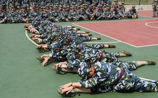 吃瓜军训舞蹈表演中国网,中国网带你领略青春活力