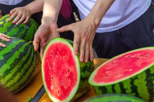 吃瓜网官网大学