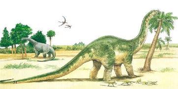 网红吃瓜恐龙,趣味横生引发网友热议